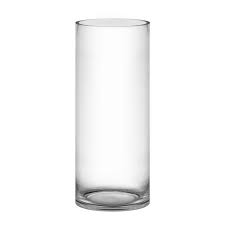 Elegant Cylindrical Glass Vase
