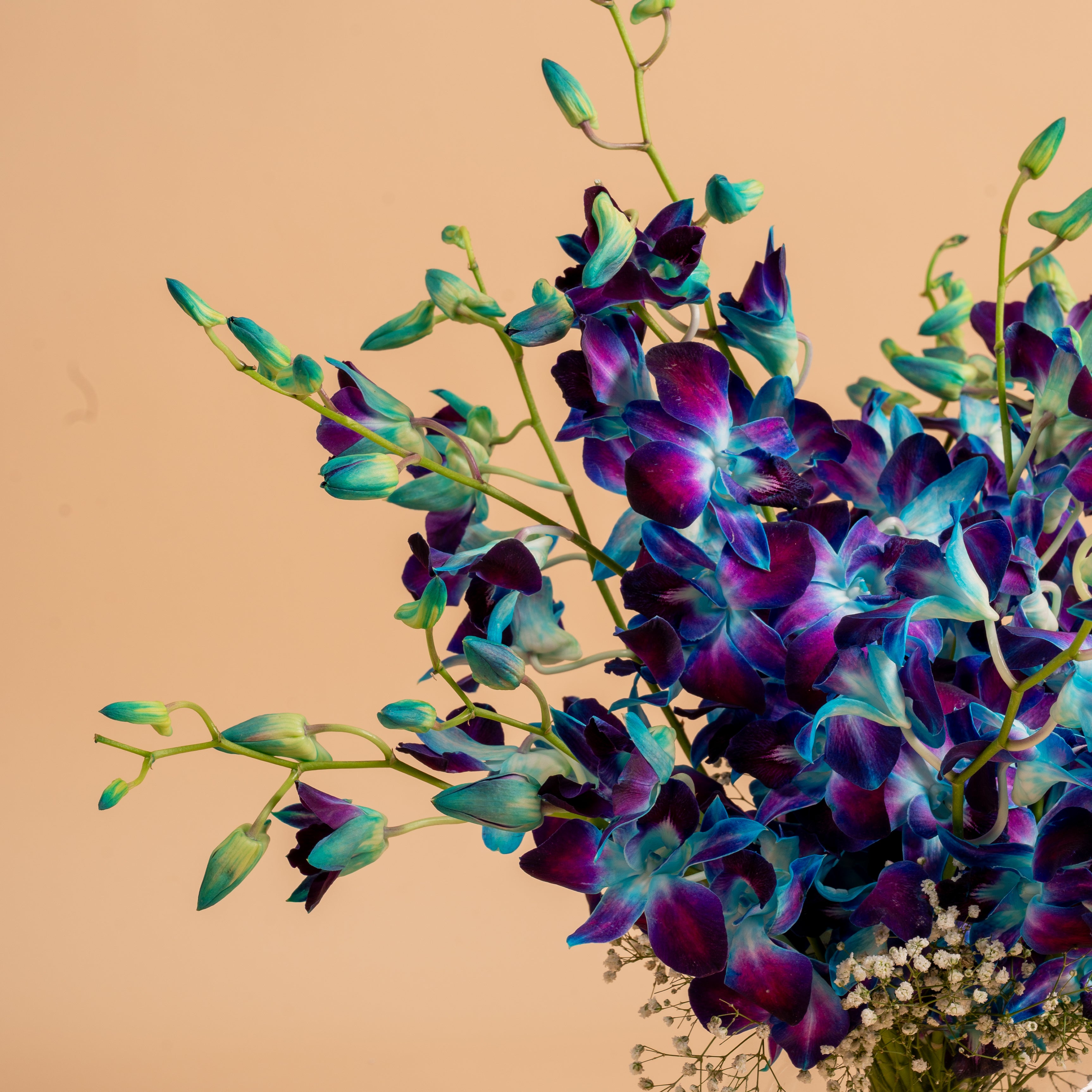 Azure Elegance