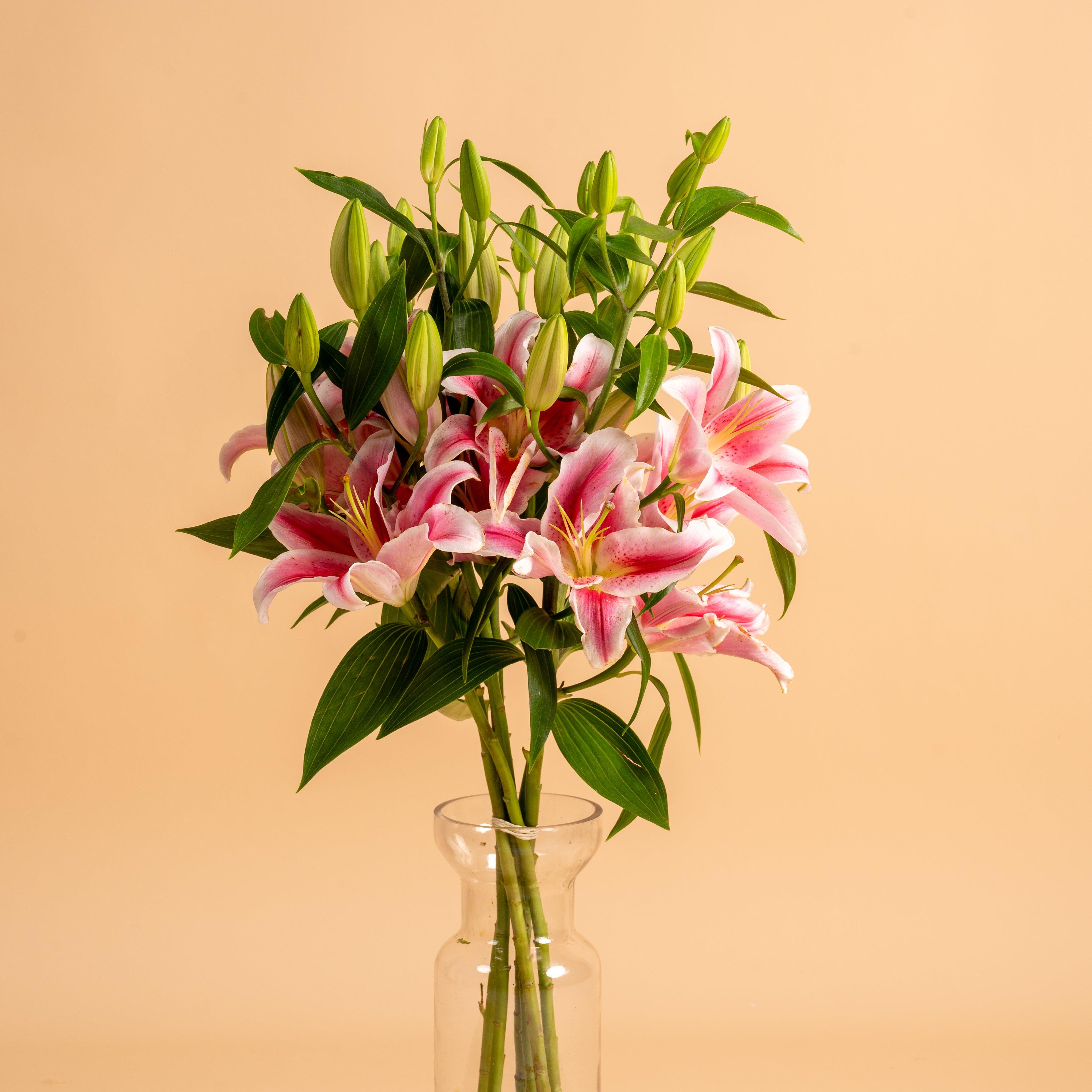 Petals of Grace