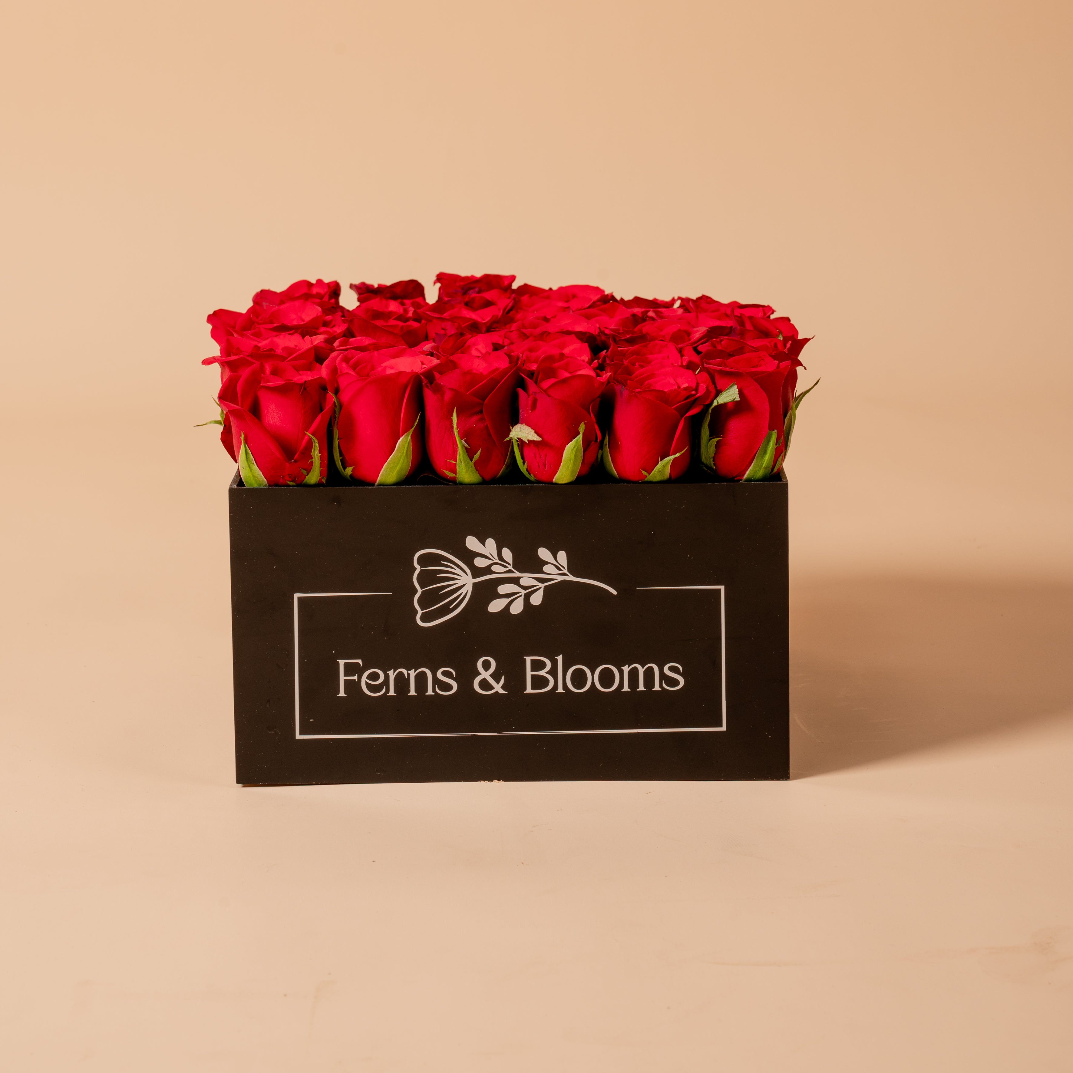 Acrylic box arrangement (big)
