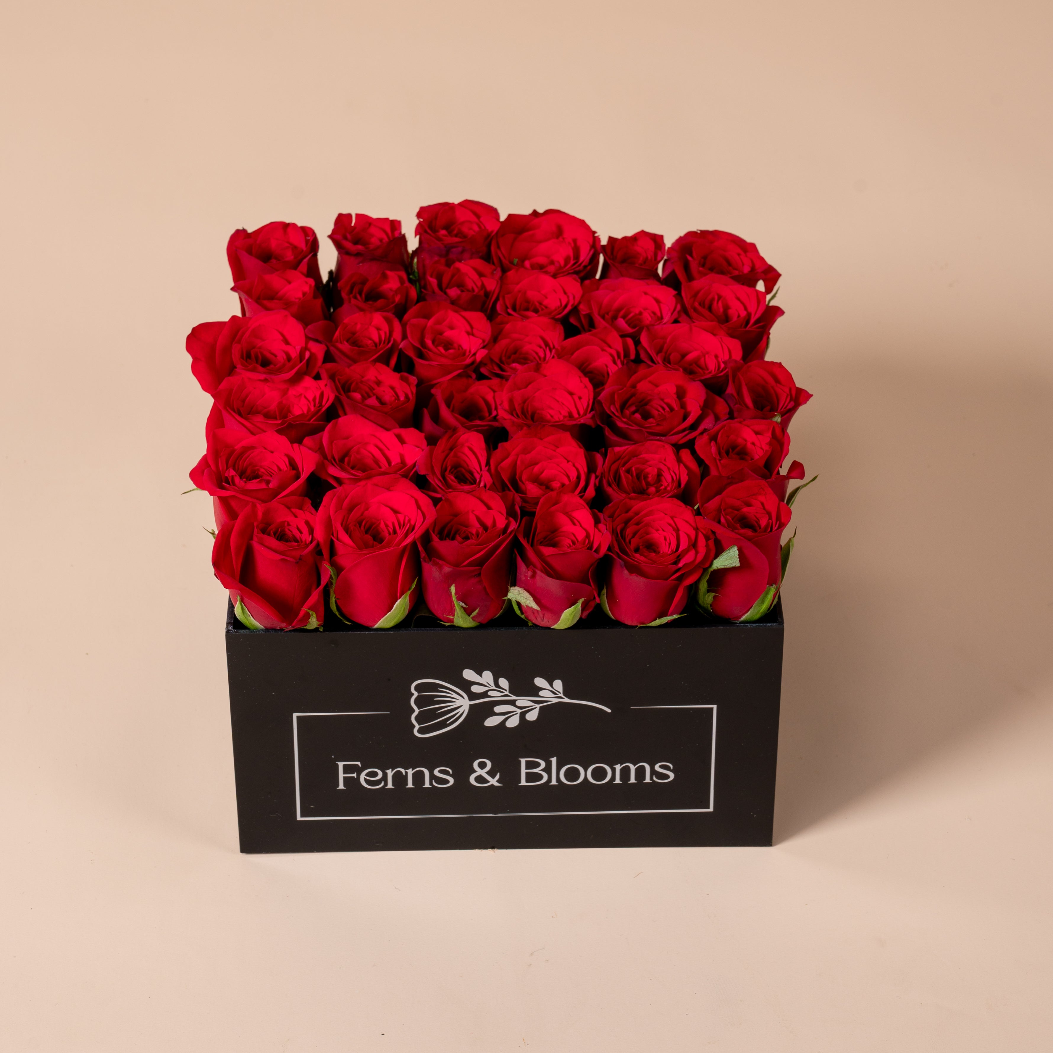 Acrylic box arrangement (big)